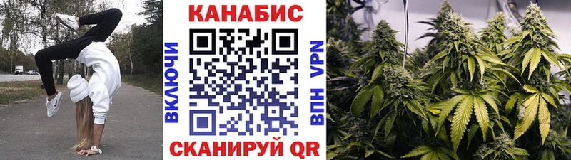 Где купить наркотики Питкяранта Псилоцибиновые грибы  А ПВП  ГАШИШ  Cocaine  Марихуана 