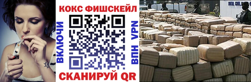Кокаин Эквадор  mega   Питкяранта 
