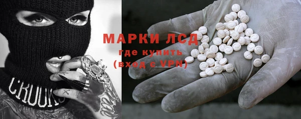 шишки Медвежьегорск