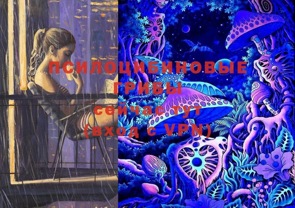 шишки Медвежьегорск