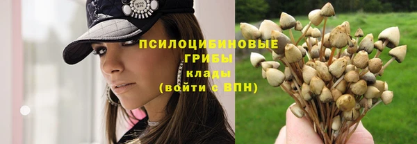 экстази Дмитров