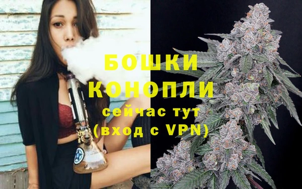 гидропоника Медногорск