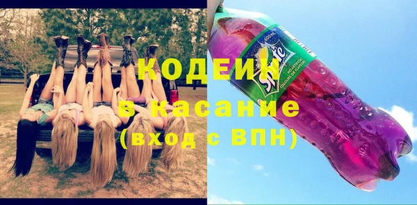 шишки Медвежьегорск