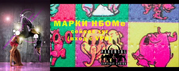 шишки Медвежьегорск