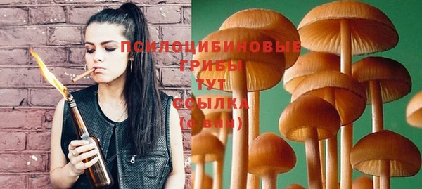экстази Дмитров