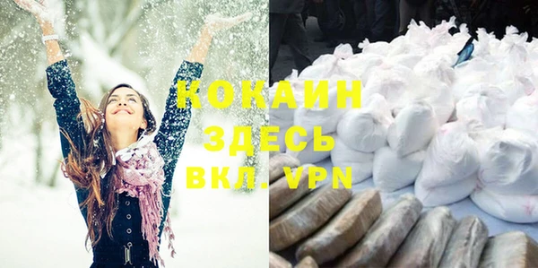 гидропоника Медногорск