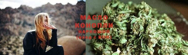 шишки Медвежьегорск